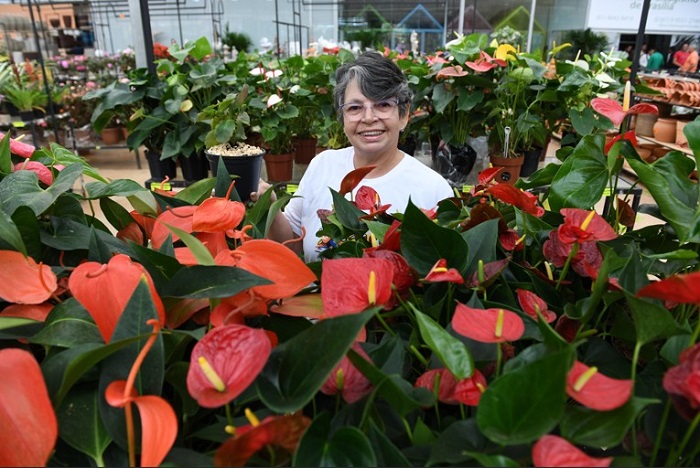 Viver 60 +: Mais de 50 pessoas idosas participam de oficina de jardinagem